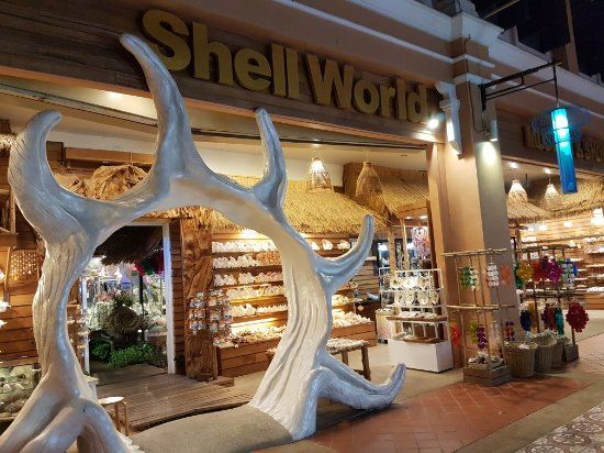 Musée des coquillages